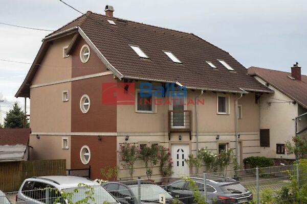 Part, Balatonkenese képe