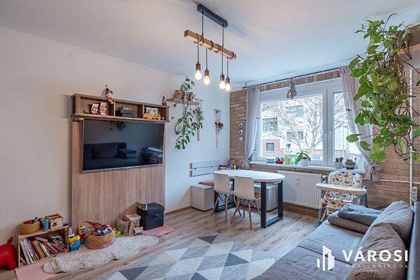 Szeged, Szeged képe