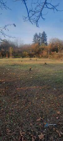 Kerülő, Érd képe