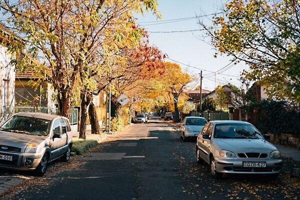 Molnár Viktor, Budapest, XV. kerület képe
