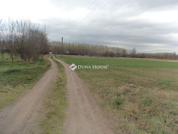 Csokonai, Pilis képe