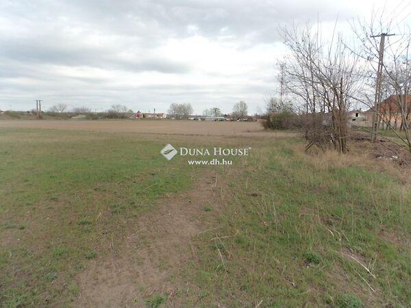 Kossuth Lajos, Pilis képe