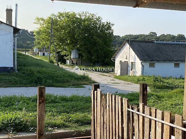 Mártírok, Ozora képe