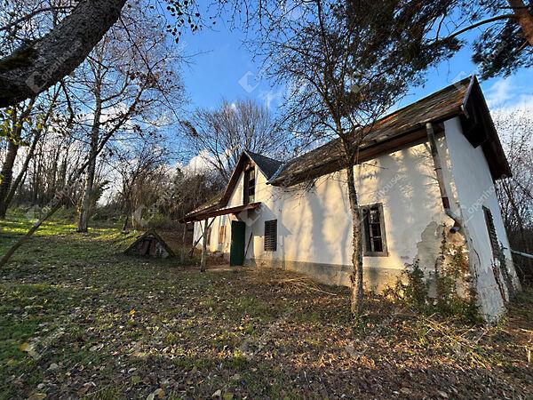 Ady Endre, Nemesrádó képe