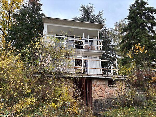 Rigó, Dunaalmás képe