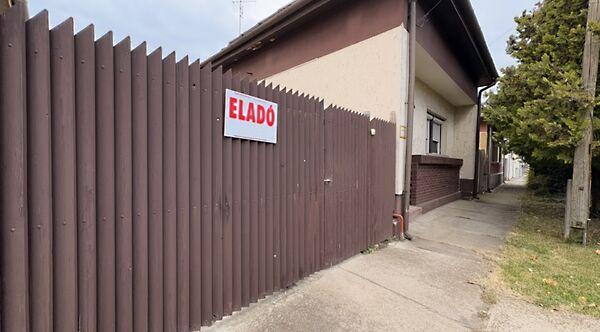 Ince pápa, Gyula képe