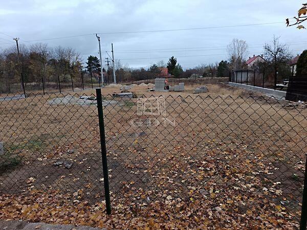 Fenyves, Veresegyház képe