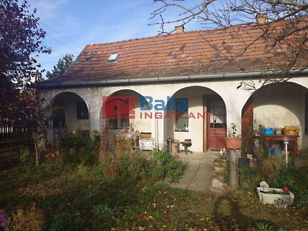 Harangvirág, Sárszentmihály képe