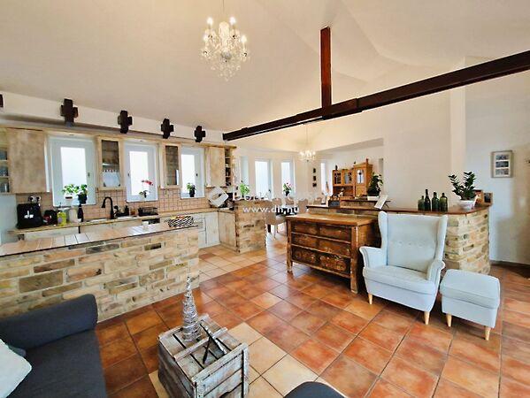 Kígyó, Mohács képe