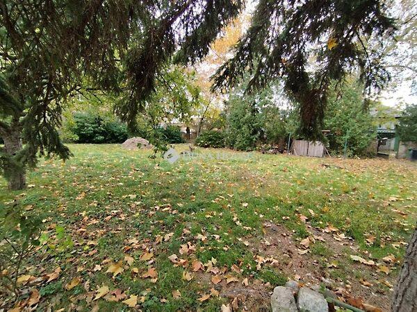 IV. Béla, Almásfüzitő képe