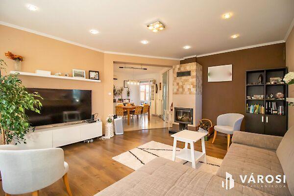 Székesfehérvár, Székesfehérvár képe