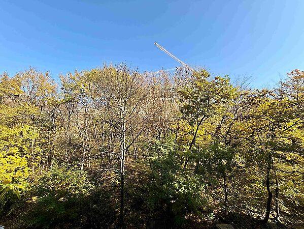 Krisztinaváros, Budapest, I. kerület képe