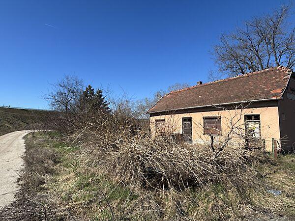 Andornaktálya képe