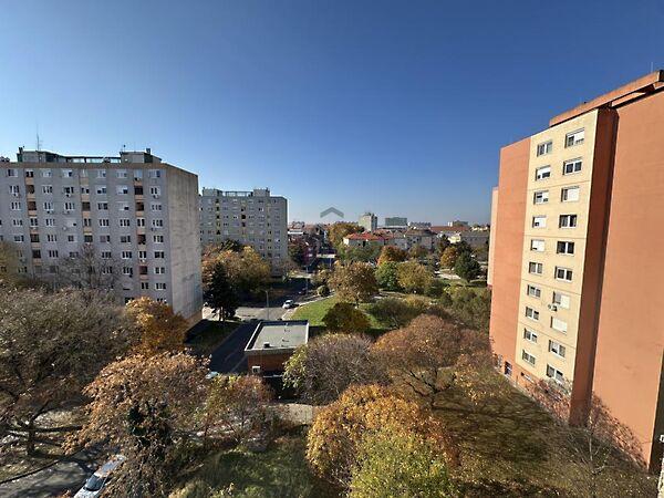 Ősz, Székesfehérvár képe