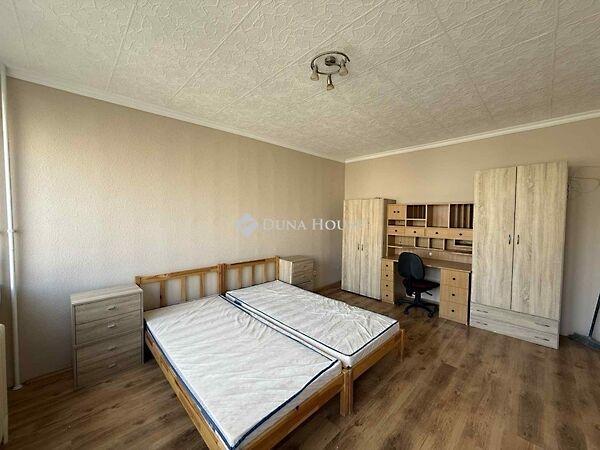 Petőfi Sándor, Kecskemét képe