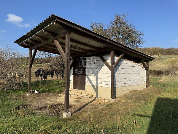 erdő, Csákvár képe