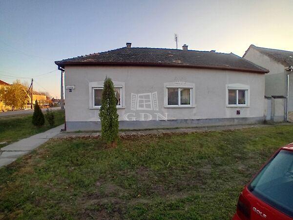 József Attila, Hajós képe