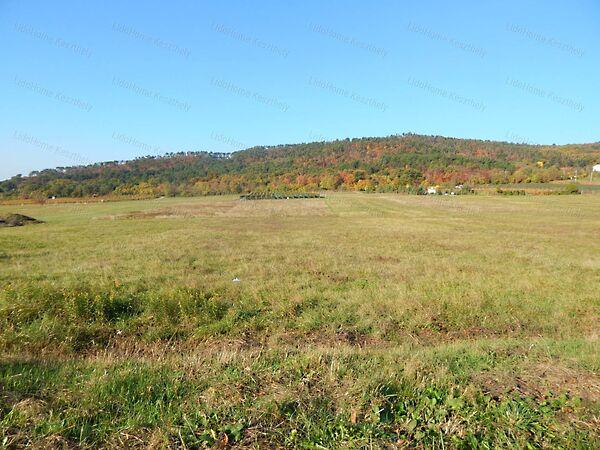 Balatongyörök képe