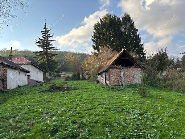 Babosdöbréte képe