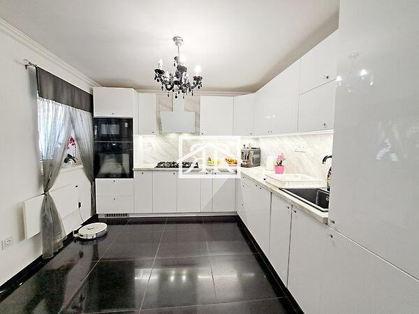 Tisza Lajos, Szeged képe