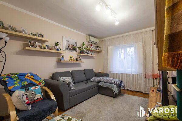 Szeged Baktói, Szeged képe