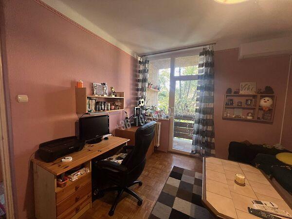 Vadász, Tatabánya képe