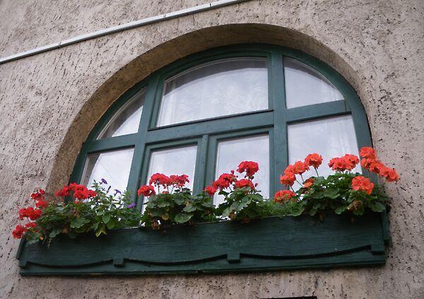 Mozdonyvezető, Budapest, XV. kerület képe