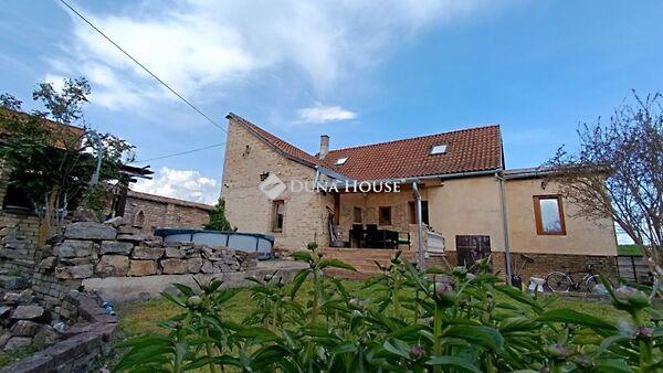 Gőzhajó, Mohács képe