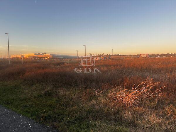 Jedlik Ányos, Ecser képe