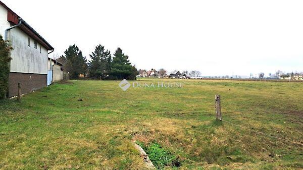 Kossuth Lajos, Bő képe