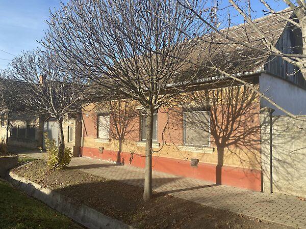 Almási, Makó képe