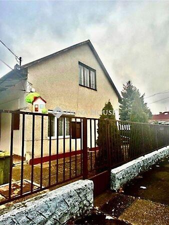 Tóth Árpád, Gyál képe