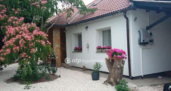 Sárszentmihály képe