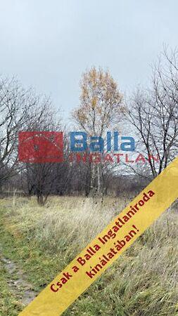 Kopolya, Budapest, XVII. kerület képe