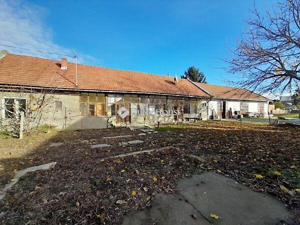 Békési, Békéscsaba képe