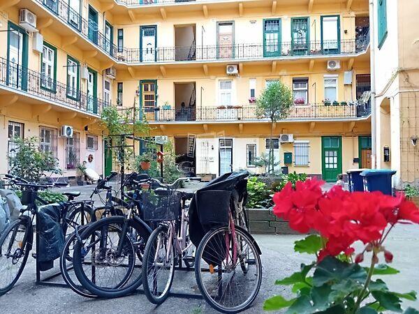 Rozgonyi, Budapest, VIII. kerület képe