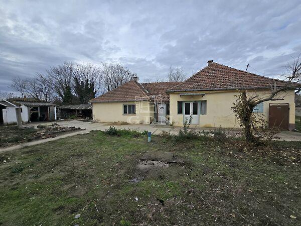 Pozsonyi, Madaras képe