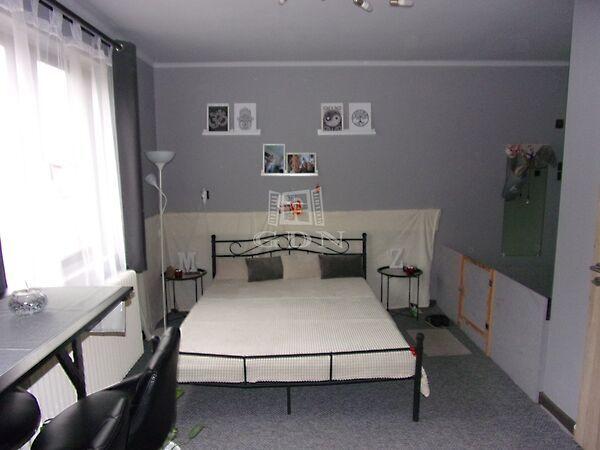 Petőfi Sándor, Péteri képe