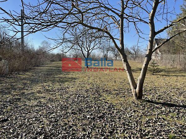 Balatonfőkajár képe