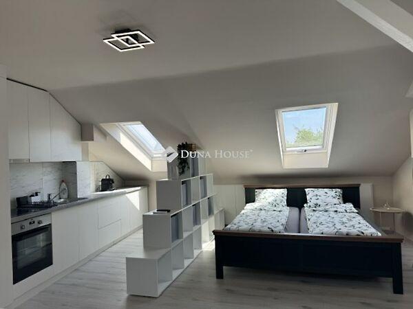 Petőfi Sándor, Kecskemét képe