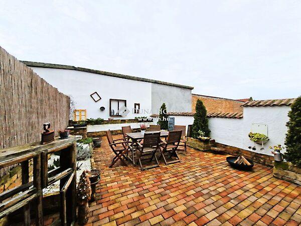 Kígyó, Mohács képe