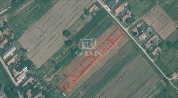 Árpád, Pátka képe