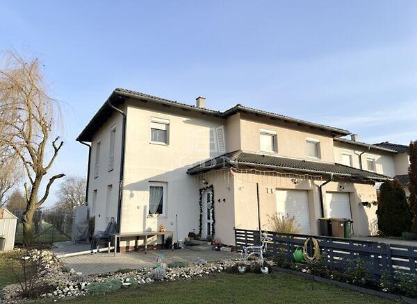 Arany János, Polgárdi képe