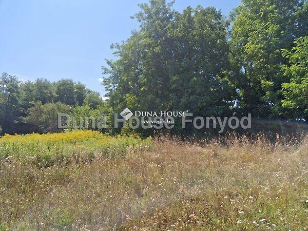 Ady Endre, Balatonberény képe