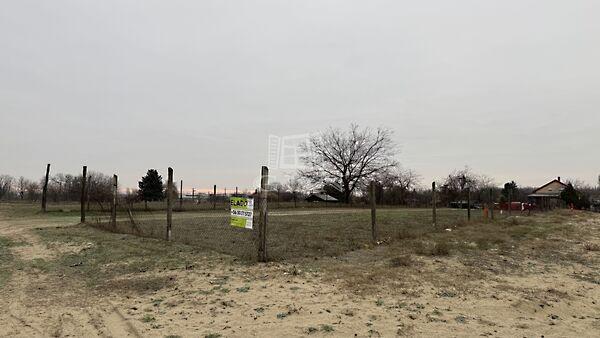 Kaszala Károly, Dunaharaszti képe