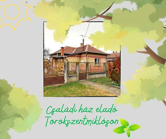 Törökszentmiklós képe