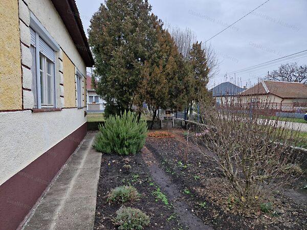 Hevesvezekény képe