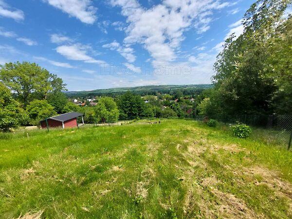 Kehidakustány képe