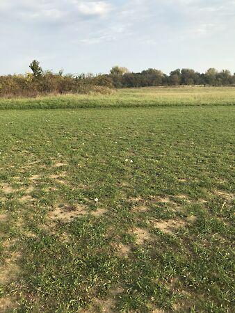 71-es  főút alatt Afrika Múzeummal, Balatonederics képe