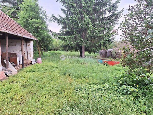 Rákóczi Ferenc, Csehi képe